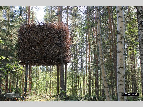 Tree Hotel: la habitación con forma de nido de ave es algo realmente sorprendente (clickear para agrandar imagen). Foto: Unusual Hotels of the World.