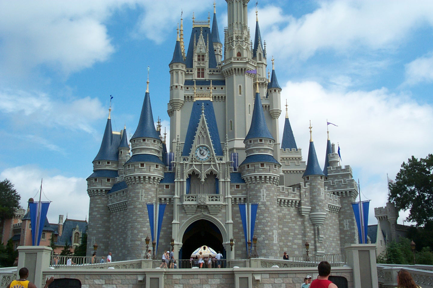 Una propuesta matrimonial digna de una princesa es posible en Disney (clickear para agrandar foto).