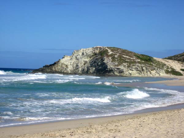 Las playas con arenas blancas, palmeras y vegetación salvaje son uno de los encantos de la Isla Margarita. / Foto: Stock.xchng (clickear en la imagen para agrandar)