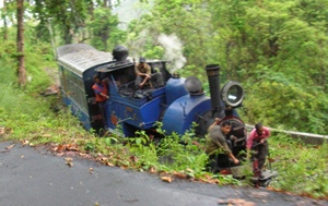 El tren por uno de los bosques de West Bengal (crédito: sxc.hu)