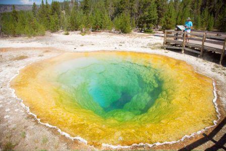 Morning Glory Pool - Yellowstone National PArk - USA