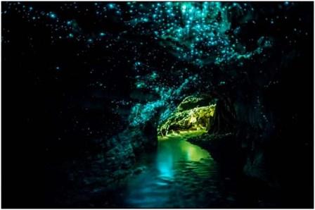 Cueva Glowworm en Nueva Zelanda