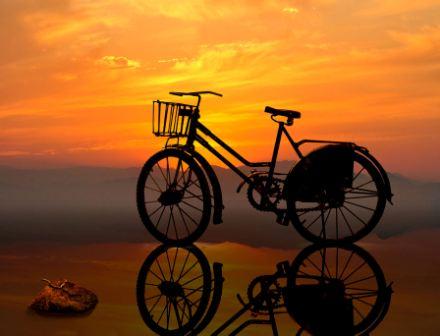 bicicleta compañera de viajes