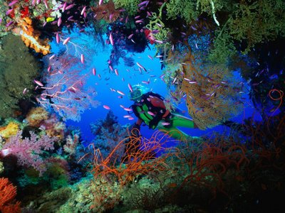 hermosos colores en los mares de las islas Fiyi