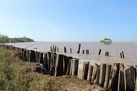 Surinam tiene ríos, costas marítimas y mucha selva.