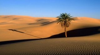 El desierto espera siempre