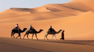 Excursiones en camello, el viaje imposible