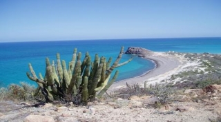 La milagrosa conservación del Parque Nacional de Cabo Pulmo
