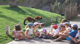 Zoológicos donde hay que interactuar con los animales