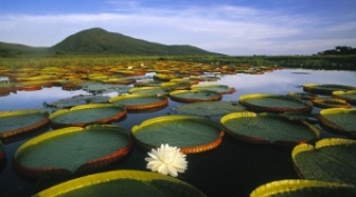 El Pantanal más grande del mundo